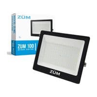 Прожектор Евросвет ZUM F02-100 4200K