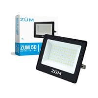 Прожектор Евросвет ZUM F02-50 4200K
