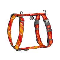 Шлея для собак WAUDOG Nylon H-подібна з QR-паспортом "Флеш Лого", світловідбивна XL (346-1083)