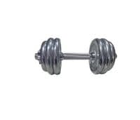 Гантель HSF з хромованим покриттям MD2503 - 2шт по 10 кг (пара) (К00024983)