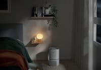 Очиститель воздуха Electrolux Pure 300 Grey (EPO30311UG)