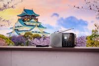 Радіоприймач Sharp DR-P520 сірий (DR-P520(GY))