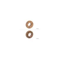 Шестерня NewTone Samsung ML-1630/1910/2510/SCX-4725FN/4828 / JC66-01254A (JC66-01254A-NT)