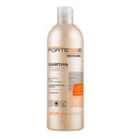 Шампунь Fortesse Professional Color Up & Protect Для окрашенных волос Устойчивость цвета 400 мл (4820000307376)