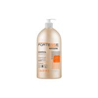 Шампунь Fortesse Professional Color Up & Protect Для окрашенных волос Устойчивость цвета 1000 мл (4820000306171)