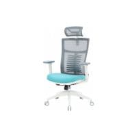 Крісло офісне Officepro Balance OC550-W-DG-BL White/Dark Gray/Blue