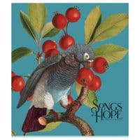 Зошит Школярик Birds 96 аркушів клітинка (096-3410K)