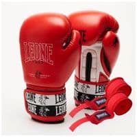 Боксерські рукавички Leone GN208 Iconic Red 14 унцій (GN208_Red_14oz)