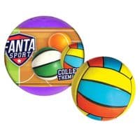 Игровой набор Cool Things Fanta sport Спортивные мячики в ассортименте (FS001)