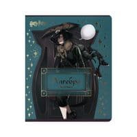 Зошит Kite предметний Harry Potter 48 аркуші, клітинка, алгебра (HP25-240-3)