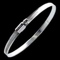 Хомут черв'ячний оцинкований APRO W1 8-12мм (50шт)