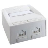 Настенный блок Synergy 2P DG+C5E, UTP, белый SSY-00010-02