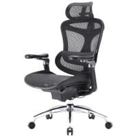 Офисное кресло Sihoo DORO C300 Pro Mesh Black (DORO-C300-PRO-M101)