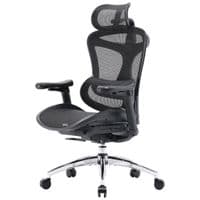 Крісло офісне Sihoo DORO C300L Mesh Black (DORO-C300L-A3-101)
