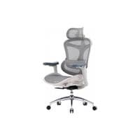 Крісло офісне Sihoo DORO C300L Mesh White (DORO-C300L-A3-102)