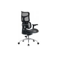 Крісло офісне Sihoo DORO S100 Mesh Black (S100-M301)
