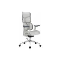 Крісло офісне Sihoo DORO S100 Mesh White (S100-M302)