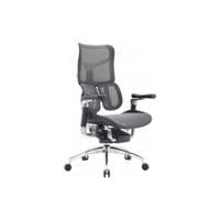 Крісло офісне Sihoo DORO S300 Mesh Dark Grey (S300-M201)