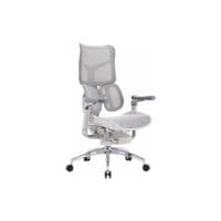 Крісло офісне Sihoo DORO S300 Mesh Light Grey (S300-M202)