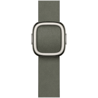 42mm Sage Gray Modern Buckle - Large
