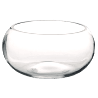 Ваза VIVA JANE /20X9см /низька/кор.уп. (A040112)