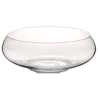 Ваза VIVA JANE /24X10см /низька/кор.уп. (A040115)