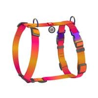 Шлей для собак WAUDOG Nylon Recycled анатомическая H-образная с QR-паспортом, градиент, S оранжевая (52864)