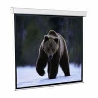 Экран настенный 203*153 SGM-4303