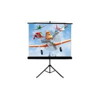 Экран мобильный с треногой Walfix 120" SNT-4 (180*240, 4:3)