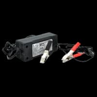 Зарядное устройство для аккумуляторов Merlion LiFePO4 12V(14,6V)-5A-60W