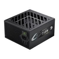 Блок питания ATX 3.1 & PCIe5.1_ 750W, 80+ Gold, фан 135mm,fully modular ,Japanese 105°C и solid c GZ 750G BK