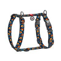 Шлея для собак WAUDOG H-подібна анатомічна Nylon з QR адресником "Апельсини" пластиковий фастекс S (343-4054)