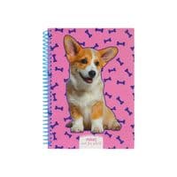 Блокнот Maxi А5, пластиковая обложка, спираль, 80 л., клетка (MX21950-03)