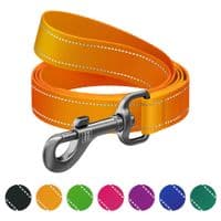Повідець для собак WAUDOG Nylon Mono світловідбивний S помаранчевий (46354)