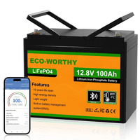Батарея LiFePo4 Eco-Worthy 12.8V 100Ah LCD (Eco-Worthy-12100bt)