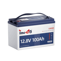 Аккумуляторная батарея LiFePO4 Timeusb 12.8V 100Ah Low-Temp, 1280Wh, BMS 100A, 260*168*210мм
