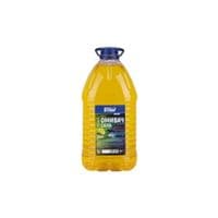 Омыватель автомобильный VITOL Дыня 5л (VTS-51)