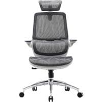 Офісне крісло Sihoo M59AS Mesh Gray (M59AS-M301)