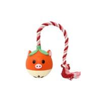 Игрушка для собак MISOKO&CO Яблоко с веревкой 40 см красная (BEIRJ06913)