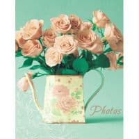 Альбом UFO alb. UFO 10x15x200 PP-46200 Turquoise Rose