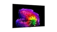 Телевизор 55" LG OLED 4K 120Hz (VRR 165Hz) Smart WebOS Black