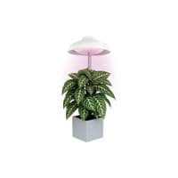 Лампочка EMOS LED лампа для рослин для приміщень, з таймером (Z7901)
