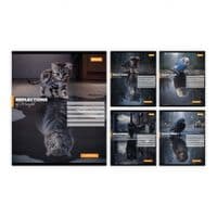Зошит 1 вересня Inner strength А5 24 аркушів лінія (768961)