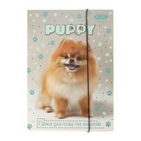 Папка для трудового обучения ZiBi для работы и тетрадей DOG, картонная, на резинке А4 (225 x 316 мм) (ZB.14940-22)