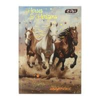 Дневник школьный ZiBi NIGHT HORSE В5, 40 листов, твердый переплет (ZB.13765-01)