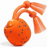 Іграшка для собак Cheerble Wicked Ball Rolly (Bright Orange) (CWQ07O)