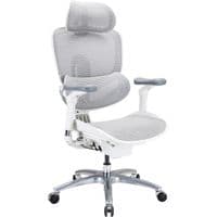 Офісне крісло Sihoo C300 LITE V2, White (C300-LITE-V2-B102)