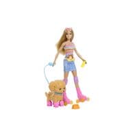 Лялька Barbie Pets Катання з хвостатим другом Блондинка (JMJ44)