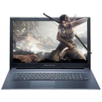 Ноутбук Dream Machines Clevo G1060-17 (G1060-17UA33)
