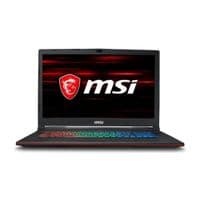 Ноутбук MSI GP63-8RD (GP638RD-684XUA)